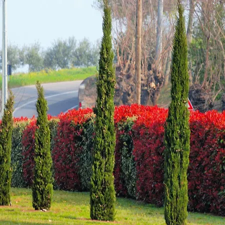 Apartmán La Colombara - Fra I Colli A 5 Minuti Dall'autodromo