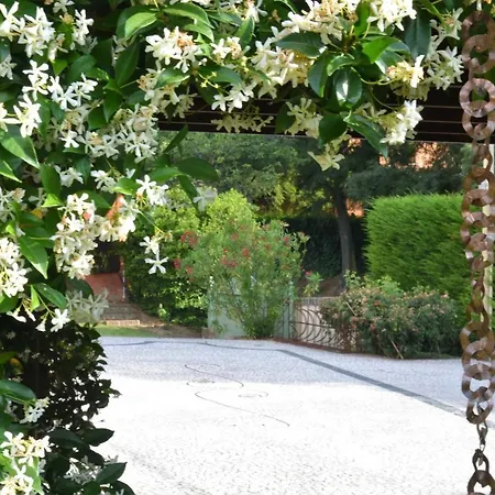 아파트 La Colombara - Fra I Colli A 5 Minuti Dall'autodromo *