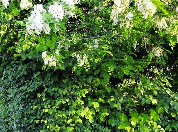 아파트 La Colombara - Fra I Colli A 5 Minuti Dall'autodromo *