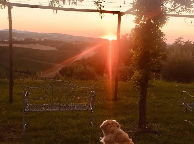 아파트 La Colombara - Fra I Colli A 5 Minuti Dall'autodromo *