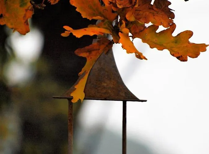 La Colombara - Fra I Colli A 5 Minuti Dall'autodromo 아파트 이몰라