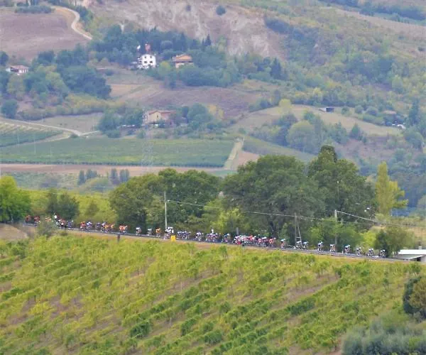 La Colombara - Fra I Colli A 5 Minuti Dall'autodromo 아파트