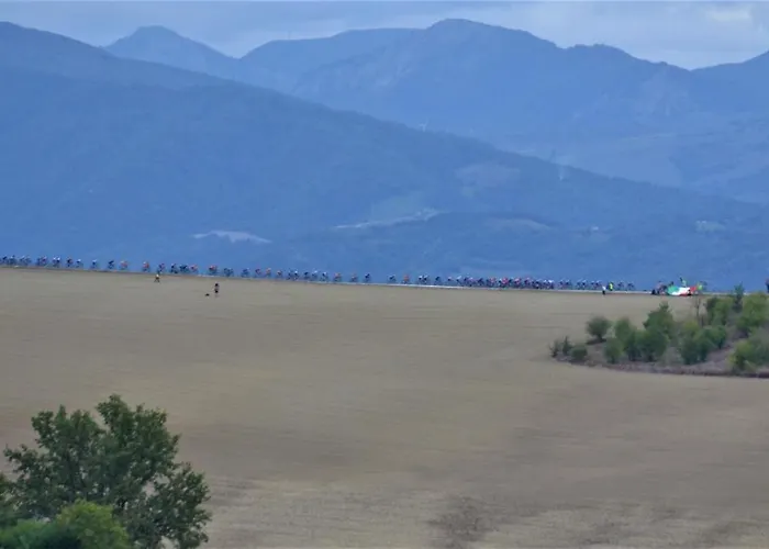 아파트 La Colombara - Fra I Colli A 5 Minuti Dall'autodromo 이몰라