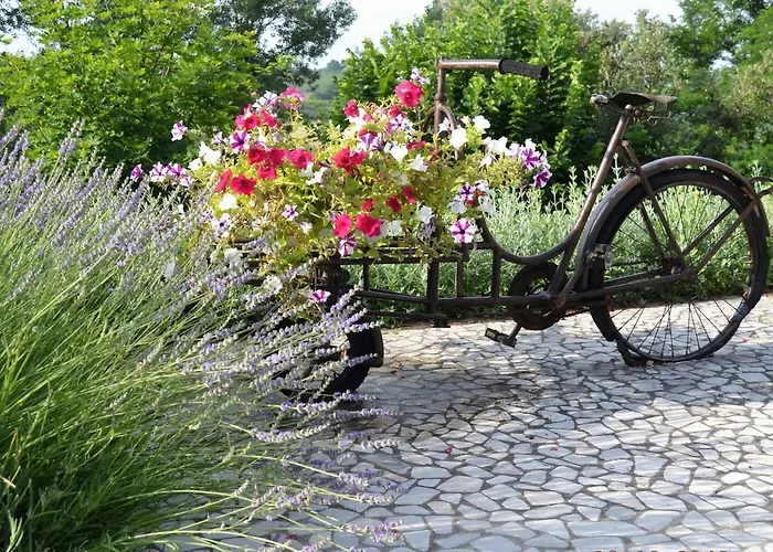 La Colombara - Fra I Colli A 5 Minuti Dall'autodromo 이몰라