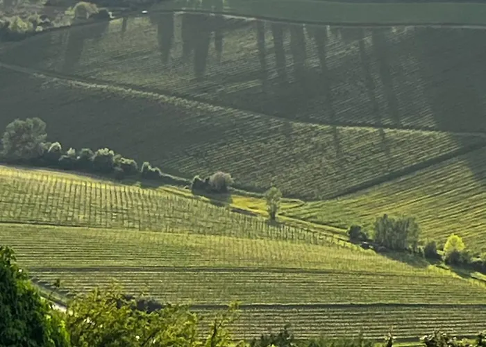 La Colombara - Fra I Colli A 5 Minuti Dall'autodromo * 이몰라