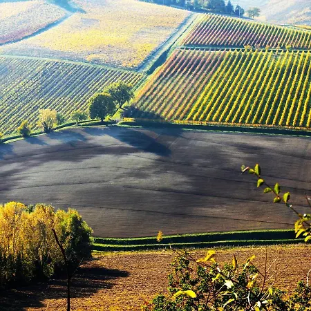 דירה La Colombara - Fra I Colli A 5 Minuti Dall'autodromo *
