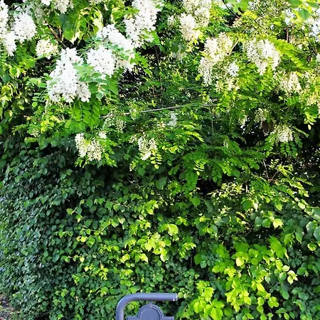 Apartman La Colombara - Fra I Colli A 5 Minuti Dall'autodromo *