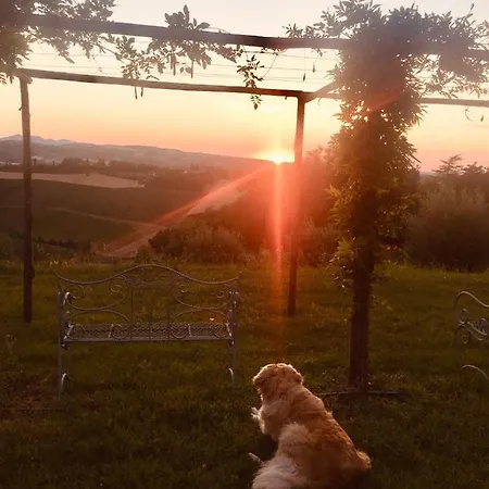 דירה La Colombara - Fra I Colli A 5 Minuti Dall'autodromo *
