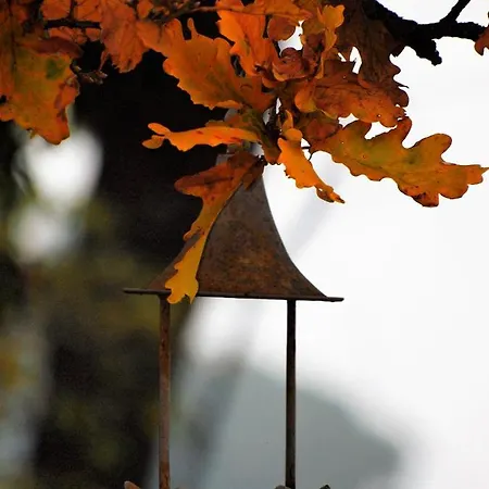 La Colombara - Fra I Colli A 5 Minuti Dall'autodromo דירה אימולה