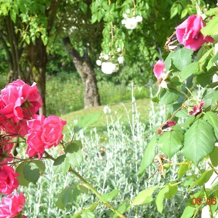 La Colombara - Fra I Colli A 5 Minuti Dall'autodromo