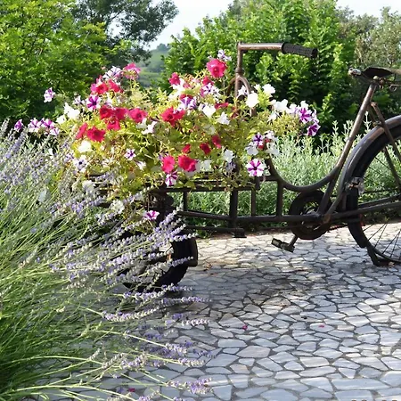 La Colombara - Fra I Colli A 5 Minuti Dall'autodromo אימולה