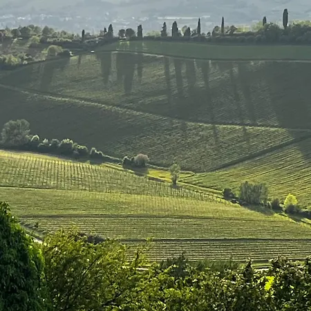 La Colombara - Fra I Colli A 5 Minuti Dall'autodromo * Imola