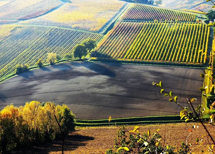 Apartamento La Colombara - Fra I Colli A 5 Minuti Dall'autodromo *