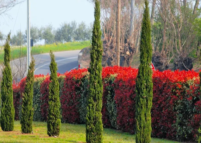 Apartamento La Colombara - Fra I Colli A 5 Minuti Dall'autodromo