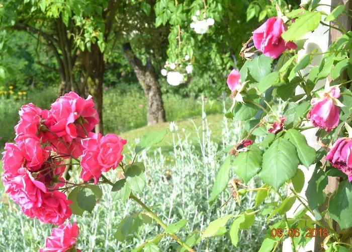 La Colombara - Fra I Colli A 5 Minuti Dall'autodromo