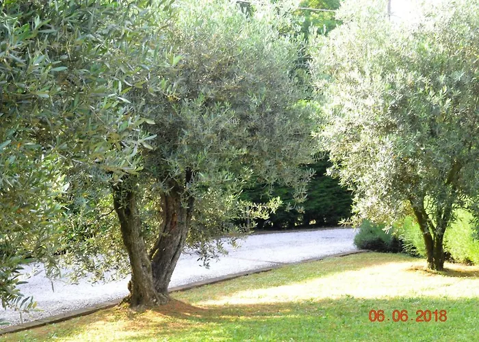 Apartamento La Colombara - Fra I Colli A 5 Minuti Dall'autodromo